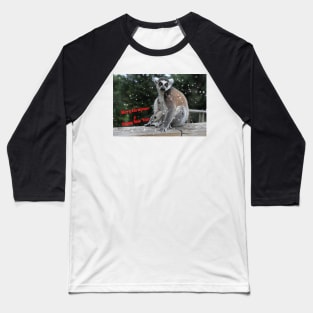 Ring-tailed lemur - Merry Christmas & Happy New Year Baseball T-Shirt